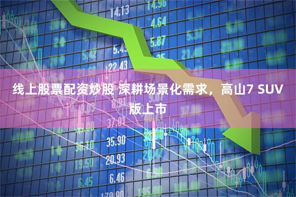 线上股票配资炒股 深耕场景化需求，高山7 SUV版上市